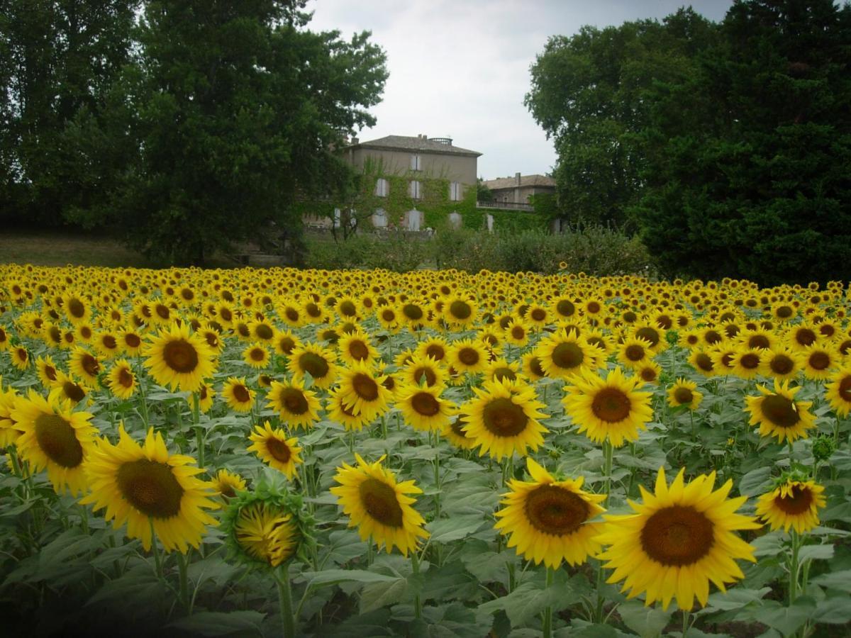 Domaine De Lamartine Pont-Saint-Esprit Εξωτερικό φωτογραφία